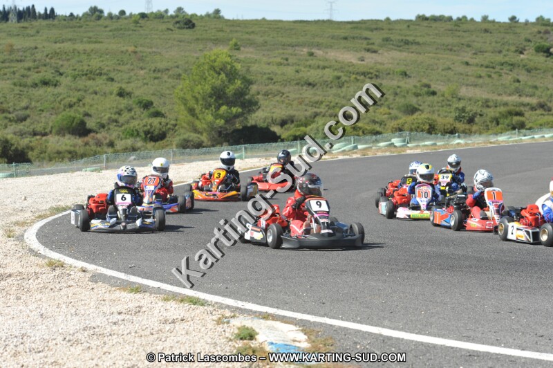DSC (2779).JPG